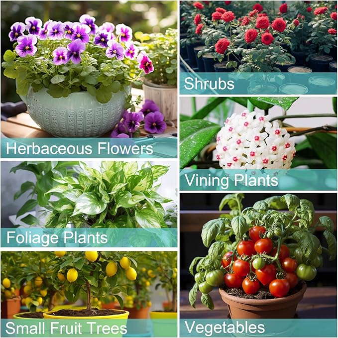 Potting Soil Mix for Indoor Plants 4qt, Organic Houseplant Soil Well Draining Dirt Ready to Use, Fit for House Plant Like Pothos, Philodendron, Monstera, African Violet