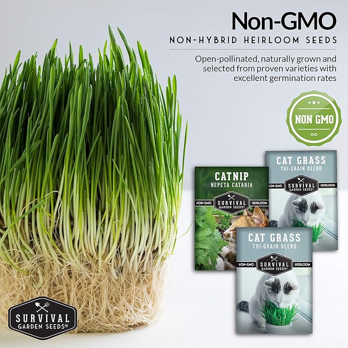 Survival Garden Seeds Cat Collection Seed Vault - Non-GMO Heirloom Seeds for Planting - Catnip and 2 Cat Grass Packets - Amazing Herbal Plants and Greens for Your Kitty's Health & Recreation