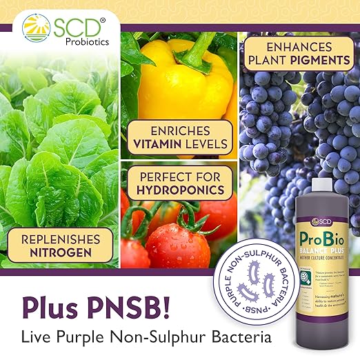 ProBio Balance Plus - Make 20X More Soil Conditioner - Super Concentrate Of Effective Beneficial Microorganisms + PNSB Phototrophs - OMRI Listed for Organic Farm Lawn & Garden (1 Liter)