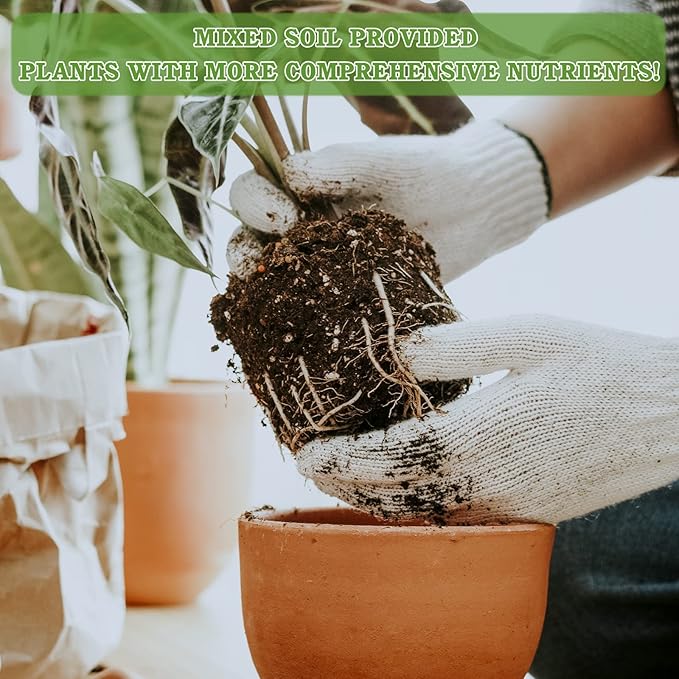 Halatool 6 QT Organic Aloe Plant Soil Potting Mix Garden Top Succulent Soil for Indoor & Outdoor Plants Bonsai Cactus Soil Potting Mix for Houseplants Flowers Vegetables & Herbs