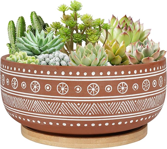 8 Inch Terracotta Succulent Planter Pot with Drainage Hole and Bamboo Tray, Round Shallow Bonsai Pot for Indoor Plants