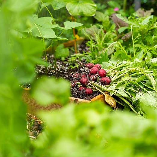 Earthborn Elements Ammonium Sulfate (1 Gallon), Soil Additive, Source of Nitrogen