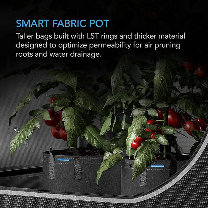 AC Infinity Heavy Duty Fabric Pots, 5 Gallon Aeration Reusable Grow Bags 5-Pack with 500G Thick Nonwoven Fabric and Multi-Purpose Rings, for Low Stress Plant Training Fruits, Vegetables, and Flowers