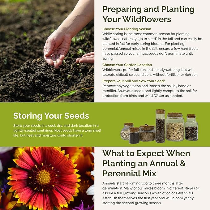 Eden Brothers North Dakota Wildflower Mixed Seeds for Planting, 1 lb, 480,000+ Seeds with Calendula, Sunflower | Attracts Pollinators, Plant in Spring or Fall, Zones