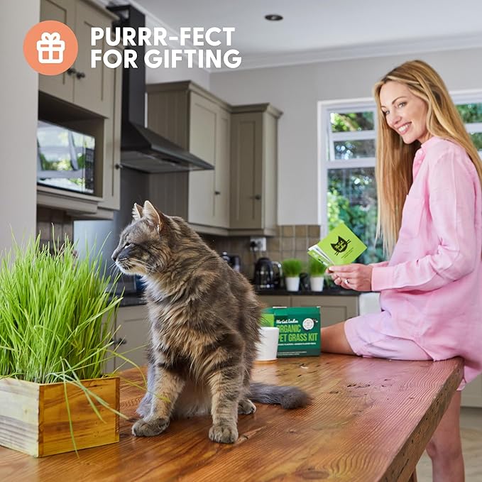 The Cat Ladies Cat Grass Kit (Organic) with Rustic Wood Planter, Seed and Soil. Easy to Grow for Indoor or Outdoor Cats, Dogs and Other Pets. Prevent Hairballs and Aid Digestion