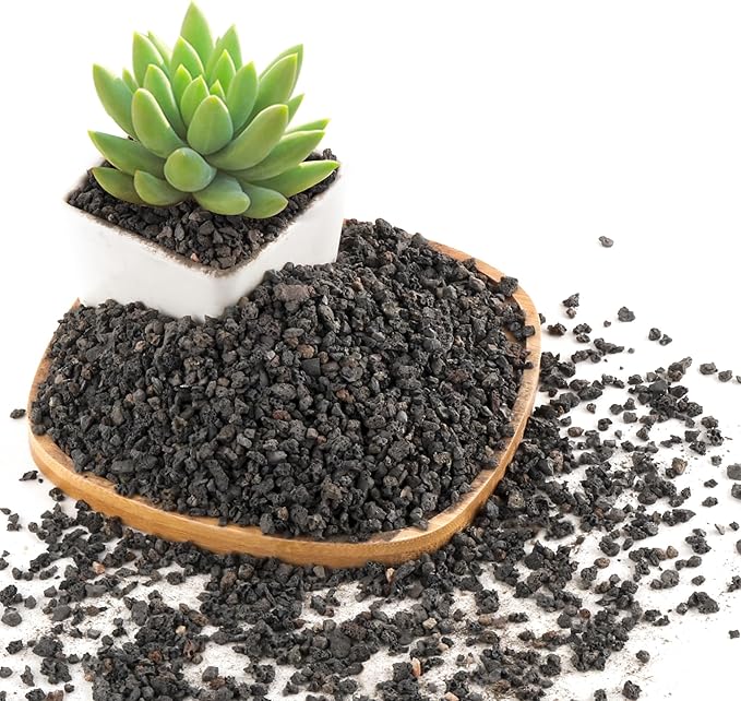 2.4LB Black Lava Rocks for Plants, Volcanic Rock Horticultural Lava Rock Soil for Landscaping Plants Drainage, Small Lava Rock Gravel for Succulents, Bonsai, Vase Fillers, Top Dressing