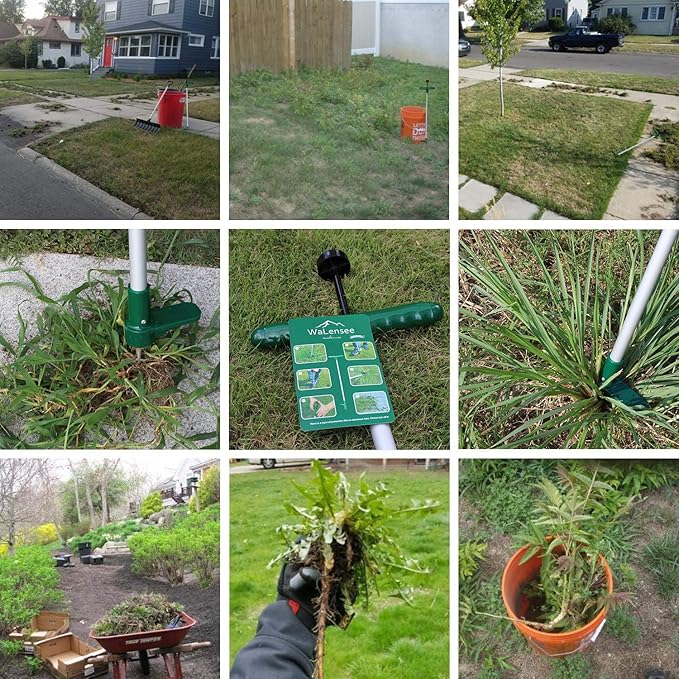 Walensee Weed Puller, Stand Up Weeder Hand Tool, Long Handle Garden Weeding tool with 3 Claws, Hand Weed Hound Weed Puller for Dandelion, Standup Weed Root Pulling Tool and Picker, Grabber (1 pack)