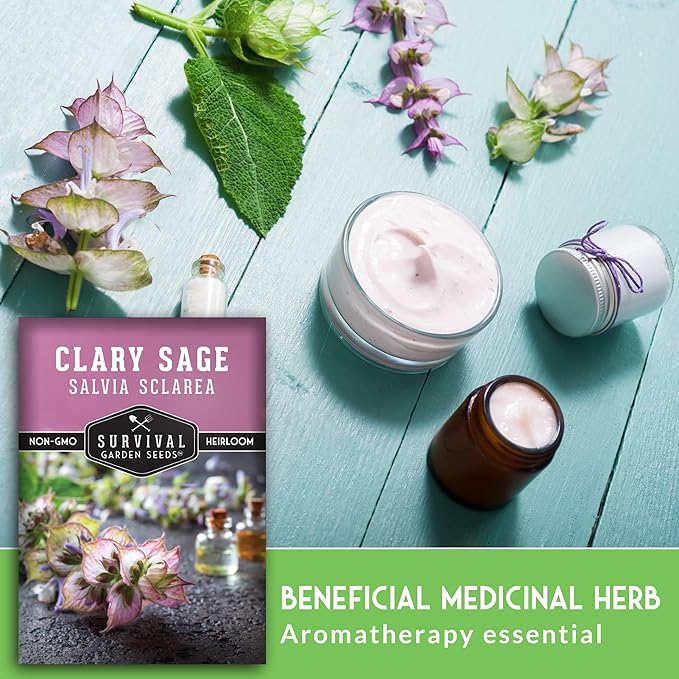 Survival Garden Seeds - Clary Sage Seed for Planting - 2 Packs with Instructions to Plant & Grow Salvia Sclarea Medicinal Herbs in Your Herbal Garden - Non-GMO Heirloom Variety