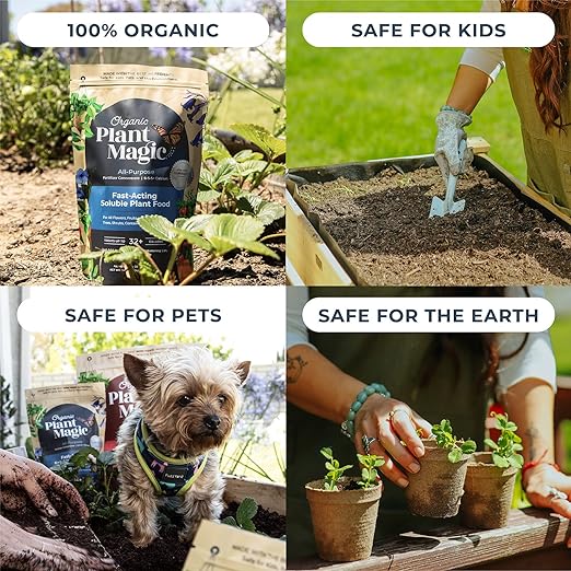 Organic Plant Magic - Truly Organic™ Fast-Acting Water Soluble Plant Food - All-Purpose Fertilizer Concentrate for Flower, Vegetable, Herb, Fruit Tree, Garden & Indoor Houseplants [One 1/2 lb Bag]