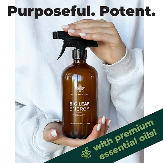 Big Leaf Energy : RTU Wellness Spray for Indoor Plants : Organic Neem Oil + Essential Oils (16OZ, Glass Bottle)