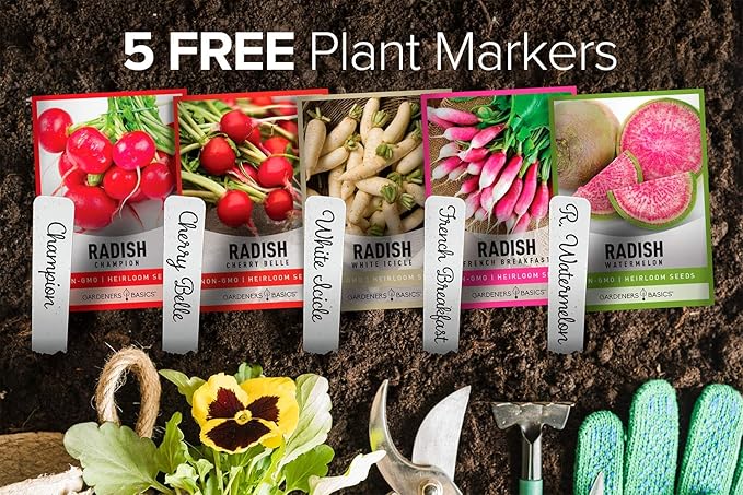 Gardeners Basics, Radish Seeds for Planting 5 Individual Packets - Watermelon, French Breakfast, Champion, Cherry Belle, White Icicle for Your Non GMO Heirloom Vegetable Garden