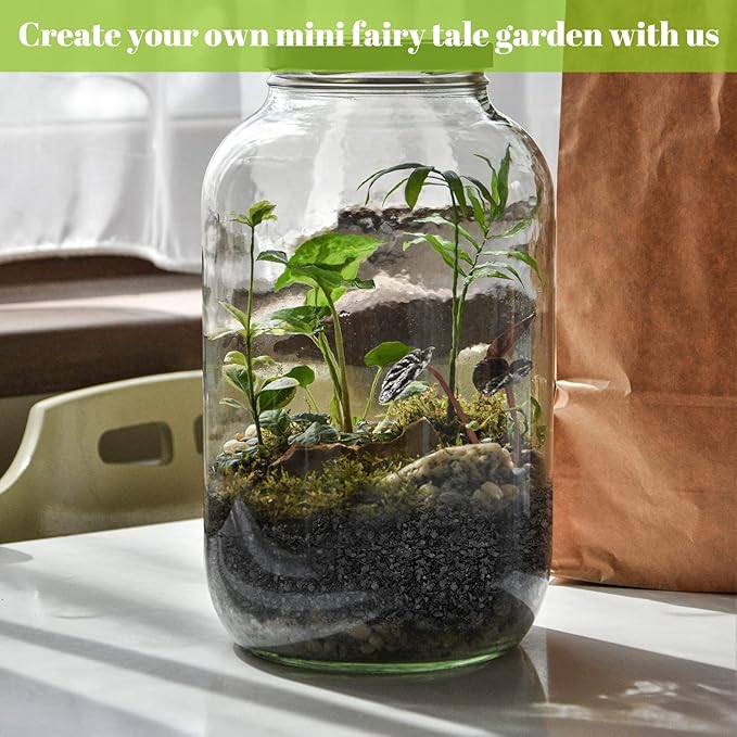 Legigo 8QT All Natural Horticultural Charcoal- Activated Hardwood Plant Charcoal for Soil Amendment, Conditioning Bonsai Soil, Succulent Soil, Terrarium Supplies, Indoor Plant Potting Soil