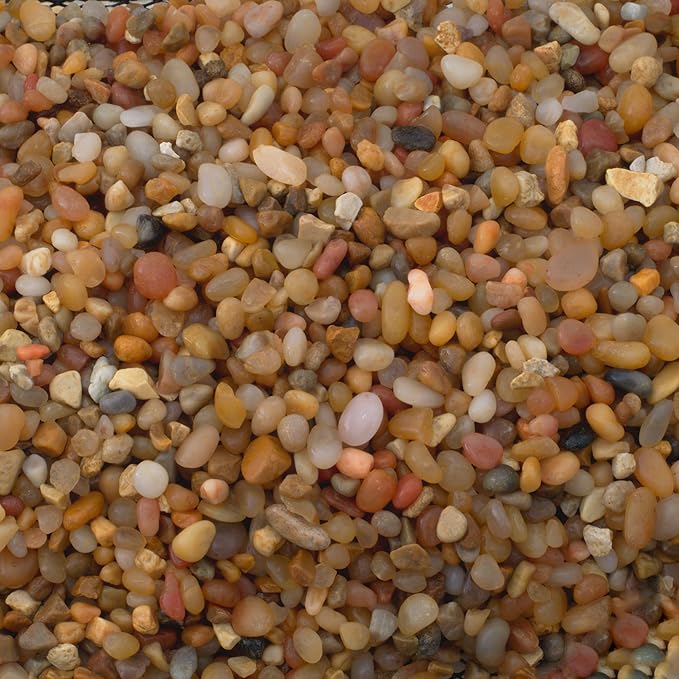 Succulent Planter Kit - Terrarium Kit with Succulent Soil, Gravel, Pebble, Moss,