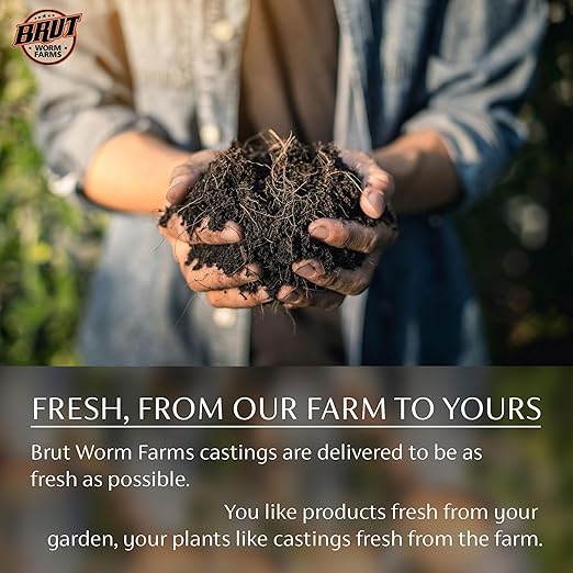 Brut Organic Cow Compost - 10 Quart - Nutrient-Rich Fertilizer for Thriving Gardens - Safe, Pure, and Effective, (10 Pack)