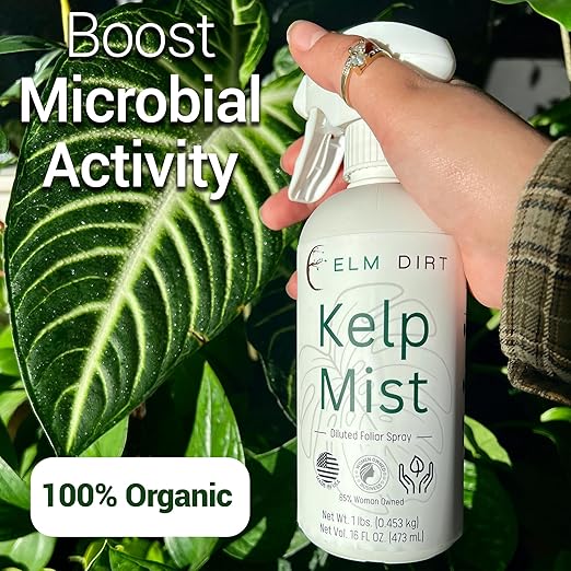 Elm Dirt Kelp Mist 100% Organic Plant Spray - Foliar Spray for Plants Food Indoor House Plants & Outdoor Plant food | Help Plant Nutrients Efficiently & Boost Soil Activity - Kelp Foliar Spray (16 oz)