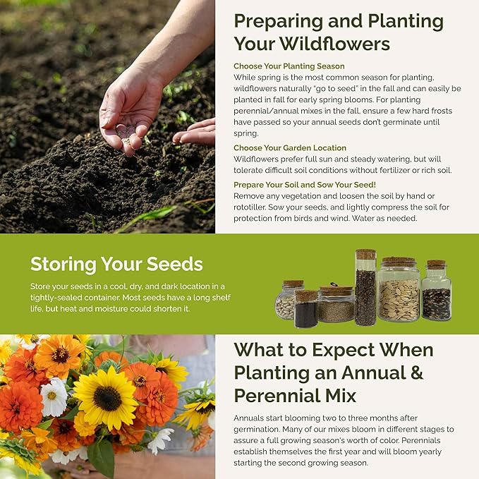 Eden Brothers Sunset Flower Mixed Seeds for Planting, 1 lb, 480,000+ Seeds with Cosmos, Zinnia, Sunflower, Corn Marigold | Attracts Pollinators, Plant in Spring or Fall, Zones 3, 4, 5, 6, 7, 8, 9, 10