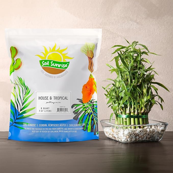 Tropical House Plant Potting Mix (8 Quarts); for All Types of Indoor House Plants