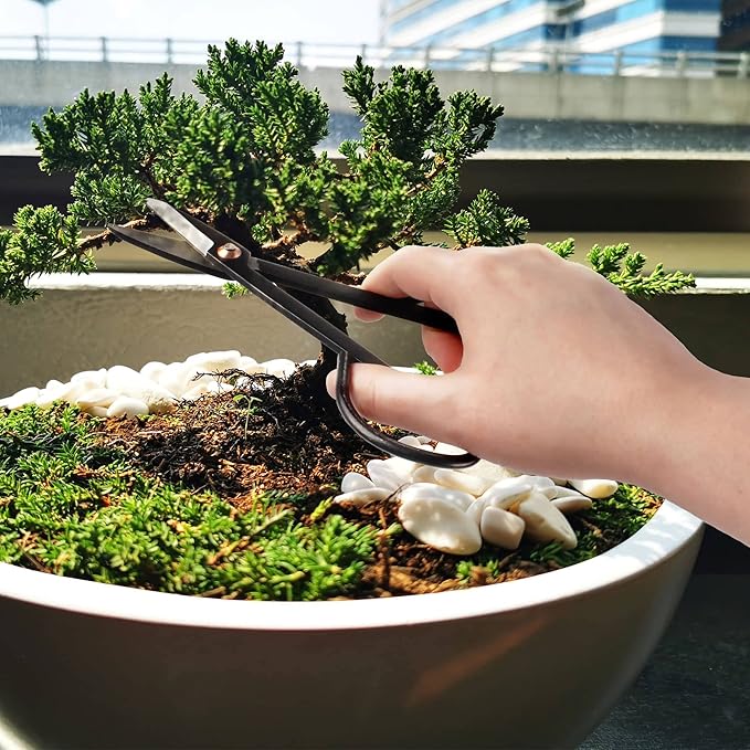 BambooMN Bonsai Basics Set - 7.2" Trimming Shears & 7" Heavy Duty Butterfly Shear - 30 Sets