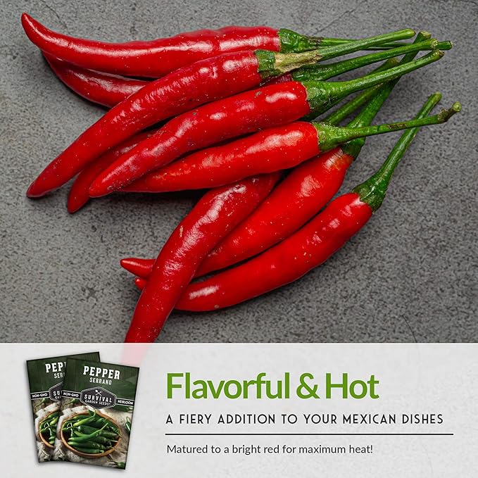 Survival Garden Seeds - Serrano Pepper Seed for Planting - Packet with Instructions to Plant and Grow Spicy Mexican Peppers in Your Home Vegetable Garden - Non-GMO Heirloom Variety