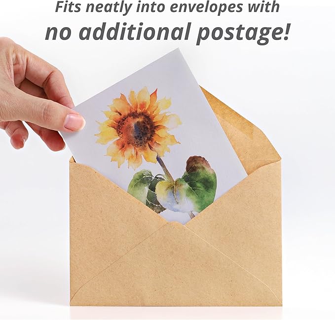 Bentley Thank You Packet - Gracias, Mammoth Sunflower - 25 Packets - Perfect Thank You Gift, Spanish - Non GMO Seeds