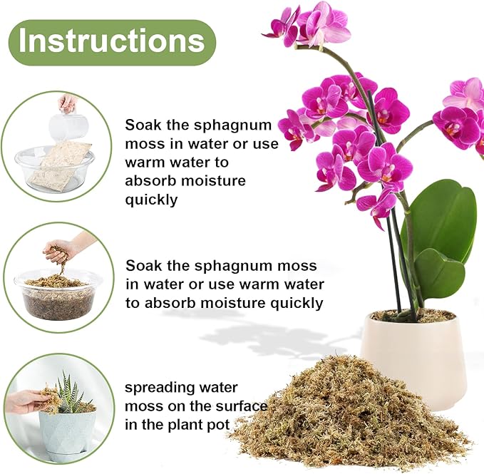 Sukh 20oz Sphagnum Moss for Plants - Sphagnum Peat Moss Natural Long Fibered Dried Moss Potting for Orchids Succulent Carnivorous Potted Plant Reptiles Medium Sarracenia DIY Moss Terrarium Decorations