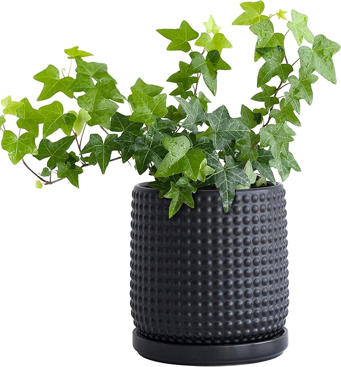 D'vine Dev 6 Inch Ceramic Beaded Stoneware Planter Pot - Flower Pot with Drainage Holes and Saucers for Indoor Succulent Plants or Flowers, Ebony Matte, 27-C-X-6