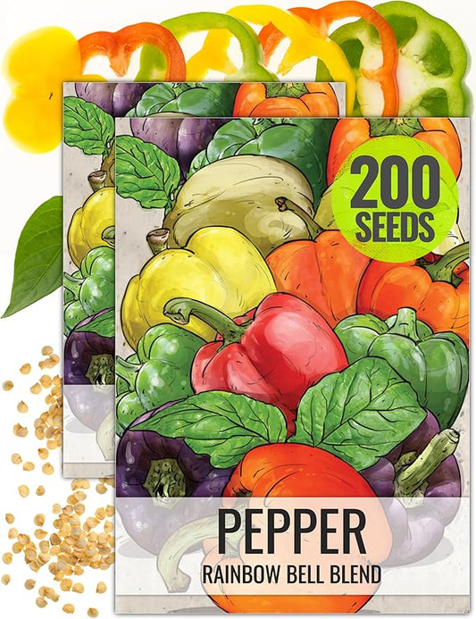 Seed Needs, Rainbow Bell Pepper Seeds for Planting (Capsicum annuum) Heirloom, Non-GMO & Untreated (2 Packs)