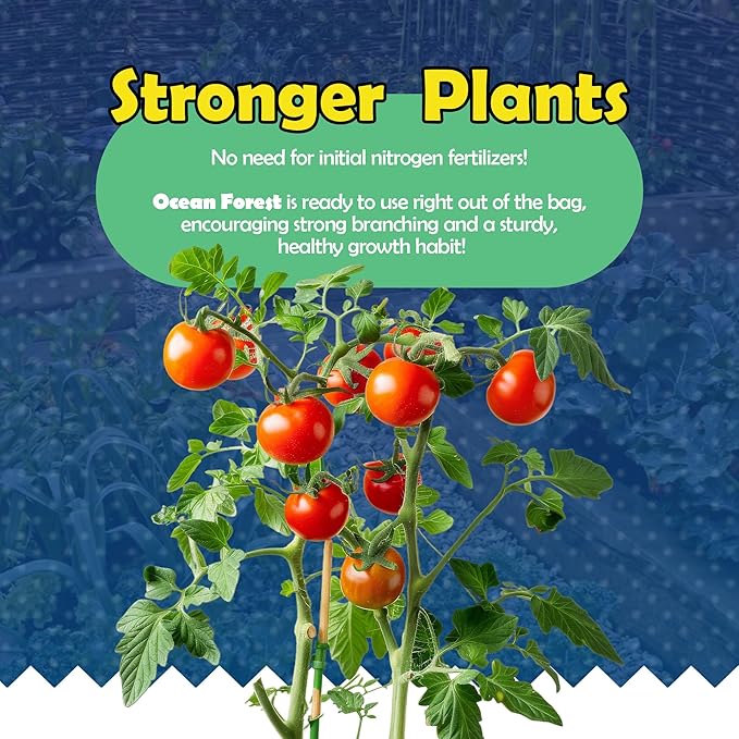 Ocean Forest Garden Potting Soil Blend, Mix for Containerized Plants, Flowers, and Vegetables, 12qt