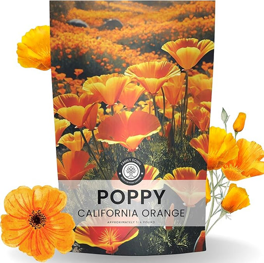 California Poppy Orange - Bulk 1/4 Pound Pouch - 80,000 Flower Seeds for Planting - Eschscholzia californica