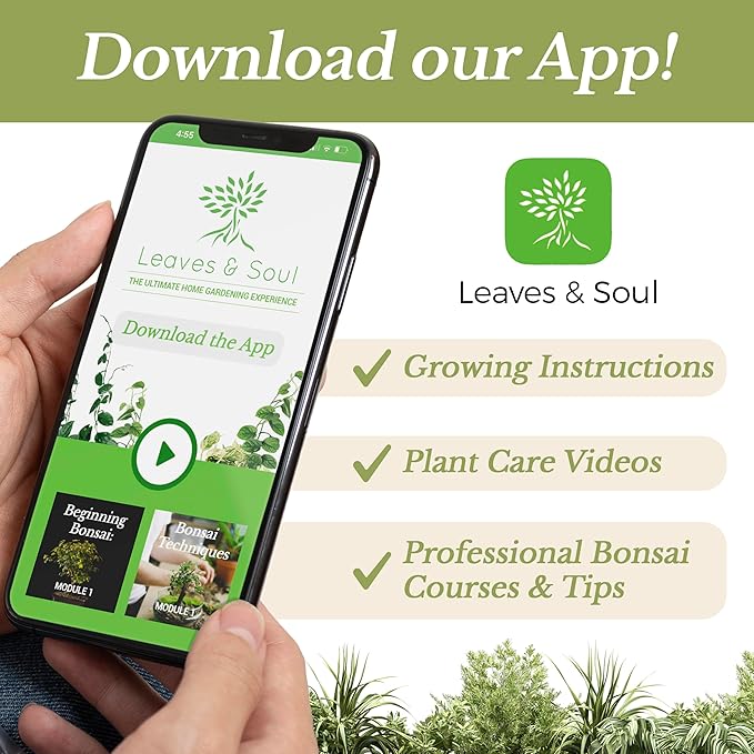 Large Bag Orchid Soil Premium All Purpose Blend | Ready to Use for Orchids, Bromeliads, Epiphytic Plants | Lava, Calcined Clay and Pinebark | Extra Large 8.2 Quarts | Made in USA