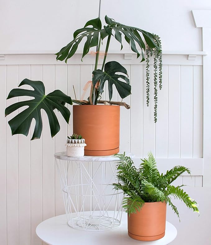 D'vine Dev Terracotta Pots for Plants, 7.8 Inch 9.6 Inch 12 Inch, Round Cylinder Planter Pot with Drainage and Saucer, 40-T-D-0