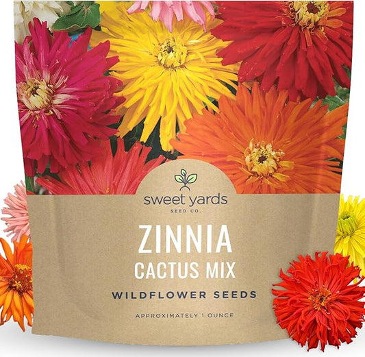 Zinnia Super Cactus Mix - Large 1 Ounce Packet - 4,000 Flower Seeds for Planting - Zinnia elegans