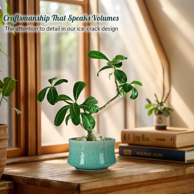 FFPOPU 3-Packs Ceramic Bonsai Pots with Drainage Tray, 6-inch Cute Bonsai Tree Pot with Ice Cracked Glaze, Small Bonsai Planter Pot for Desktop Decoration