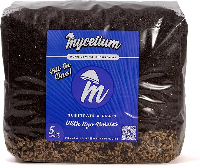 Mycelium's Superior Dung-Loving Mushroom Substrate Rye Berries Grain 5 LB All-in-One Bag – Organic Coco Coir, Vermiculite & Gypsum Formula, Pre-Sterilized & Ready for Easy Home Cultivation