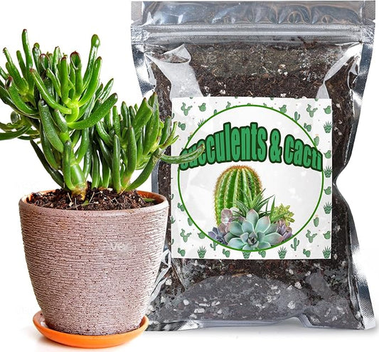 Cactus and Succulent Soil Potting Mix 1qt, Well Draining Chunky Soil Mix for Indoor Plants, Gritty Soil for Healthy Indoor Plants - Spike & Bloom
