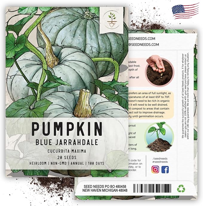 Seed Needs, Blue Jarrahdale Pumpkin Seeds - 20 Heirloom Seeds for Planting Cucurbita Maxima - Non-GMO & Untreated - Tasty Decorative Pumpkin for Halloween & Fall (1 Pack)