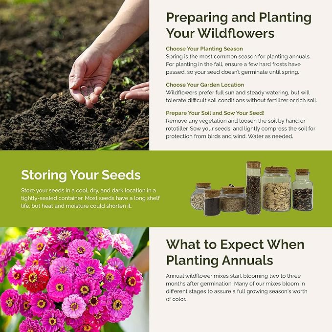 Eden Brothers Cupid's Flower Seed Mixed Seeds for Planting, 1 lb, 480,000+ Seeds with Malop Vulcan, Zinnia | Attracts Pollinators, Plant in Spring, Zones 2, 3, 4, 5, 6, 7, 8, 9, 10