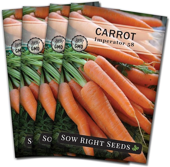 Sow Right Seeds - Imperator 58 Carrot Seed for Planting - Non-GMO Heirloom Packet with Instructions to Plant a Home Vegetable Garden - Indoors or Outdoors - Long Variety, Super Sweet (4)