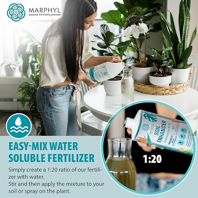 MARPHYL Organic Liquid Fertilizer - Outdoor & Indoor Plant Food - All-Purpose, Nutrient-Rich Lawn Fertilizer & Soil Enhancer for House Plants, Flowers, Vegetables, Succulents, Bamboo, Hydroponics