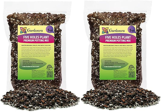 Five Holes Monstera Planting Mix - Promotes Steady Growth and Healthy Leaves - 10 Quart (2 Bags of 5 Quart)