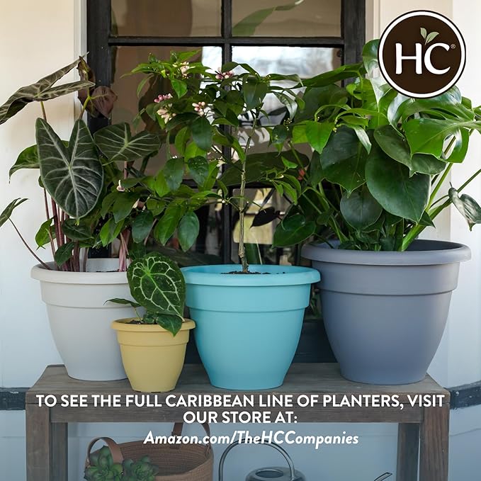 The HC Companies 6 Inch Caribbean Planter - Lightweight Indoor Outdoor Plastic Plant Pot for Herbs and Flowers, Dusty Teal