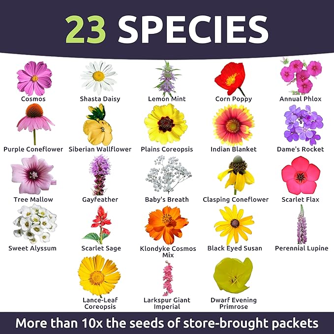 Southeast Regional Mix - Large 1 Ounce Packet - 12,000 Flower Seeds for Planting - Wildflower Mix