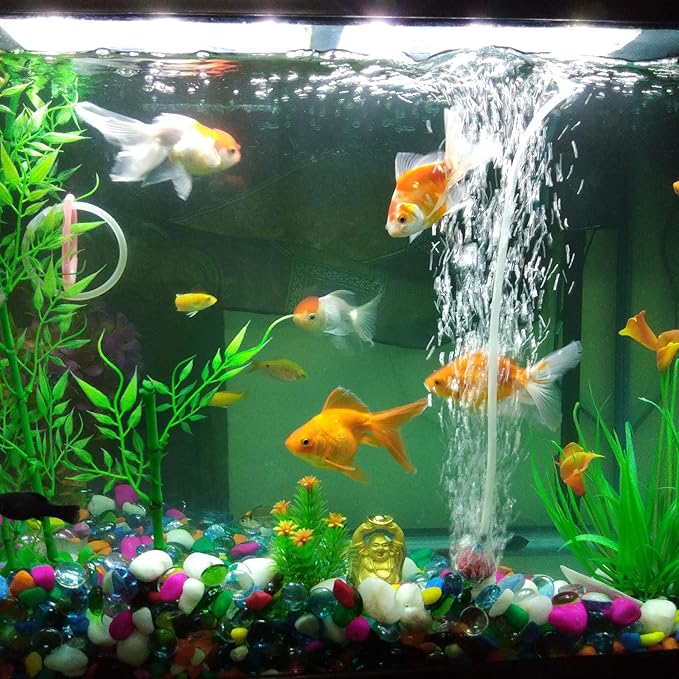 1" x 1 1/4" Clear Plastic PVC Tubing 5ft Flexible Hybrid Vinyl Tube, [for Garden Irrigation, Water Hose, Fish Tank, Aquarium] - 25.4x31.8mm