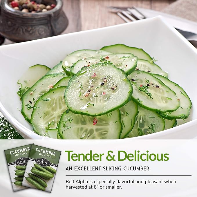 Survival Garden Seeds - Beit Alpha Cucumber Seed for Planting - Pack with Instructions to Plant and Grow Smooth Green Burpless Cucumbers in Your Home Vegetable Garden - Non-GMO Heirloom Variety - 5