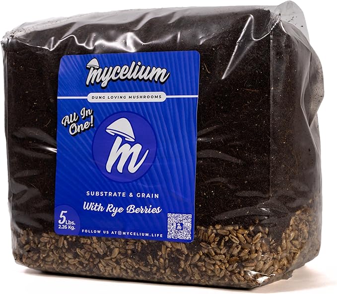 Mycelium's Superior Dung-Loving Mushroom Substrate Rye Berries Grain 5 LB All-in-One Bag – Organic Coco Coir, Vermiculite & Gypsum Formula, Pre-Sterilized & Ready for Easy Home Cultivation