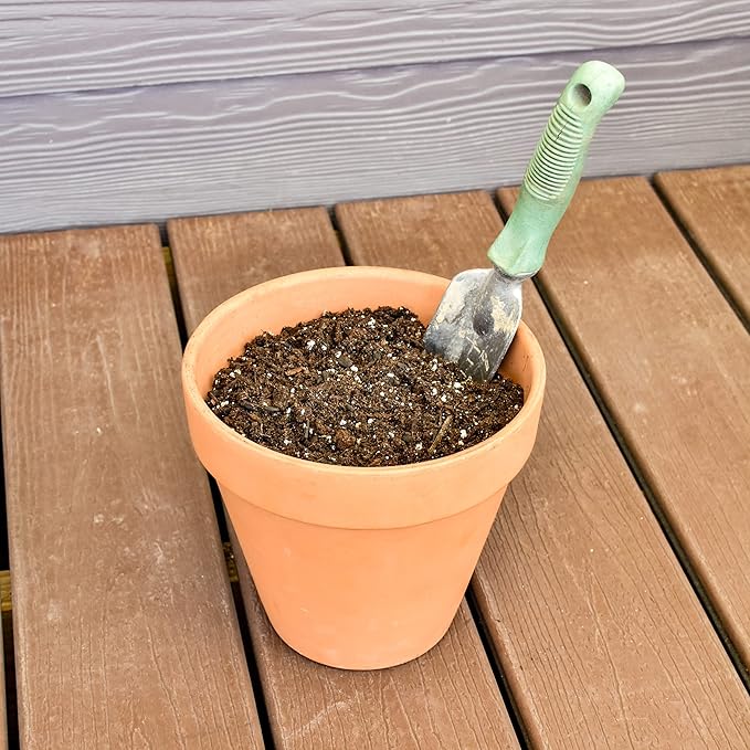 Banana Tree Potting Soil Mix (8 Quarts), Hand Blended Mixture for Banana Plants