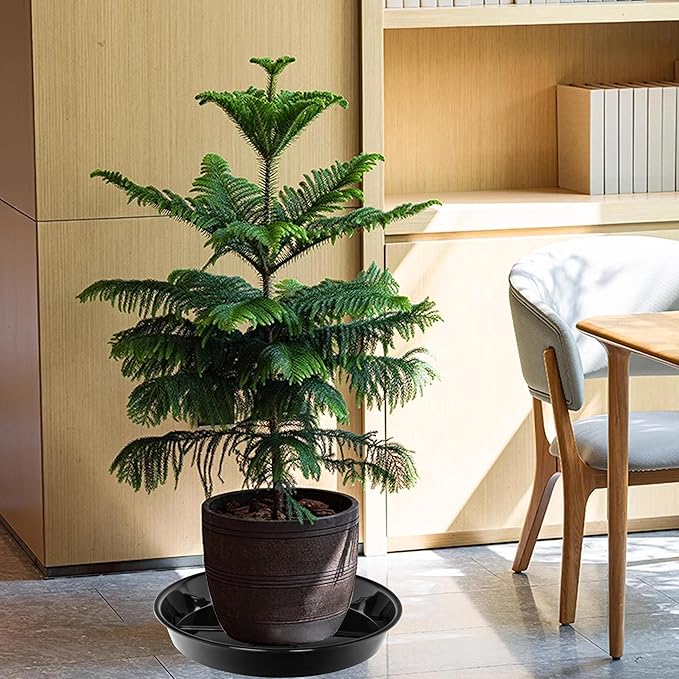 6 Pack Plant Saucer Drip Tray 11 12 inch, Pot Base for Plants Indoor, Heavy Sturdy Plastic Planter Flower Pot Saucers for Outdoor Garden, Plant Water Drip Trays for pots (12", Black)