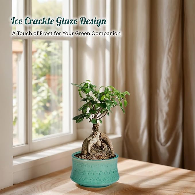 FFPOPU 3-Packs Ceramic Bonsai Pots with Drainage Tray, 6-inch Cute Bonsai Tree Pot with Ice Cracked Glaze, Small Bonsai Planter Pot for Desktop Decoration