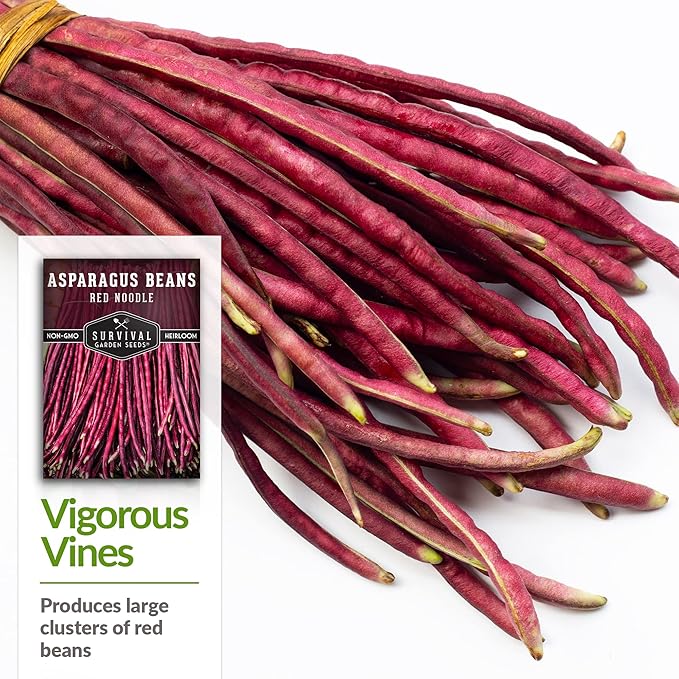 Survival Garden Seeds - Red Noodle Asparagus Bean Seed for Planting - Packet with Instructions to Plant and Extremely Long Stringless Beans in Your Home Vegetable Garden - Non-GMO Heirloom Variety