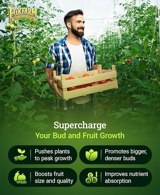 FoxFarm Cultivation Nation Bloom Fertilizer - Enhanced Bud & Fruit Development, Ideal for Soil, Soilless Media, Hydroponics & Aeroponics - Part 3 of 3-Part Feeding Program- NPK 0-5-4 (Pint)